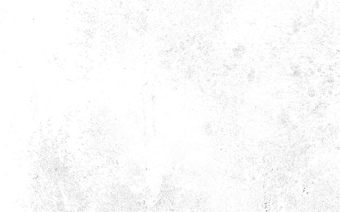20231103-CATM-blog-Background-desktop