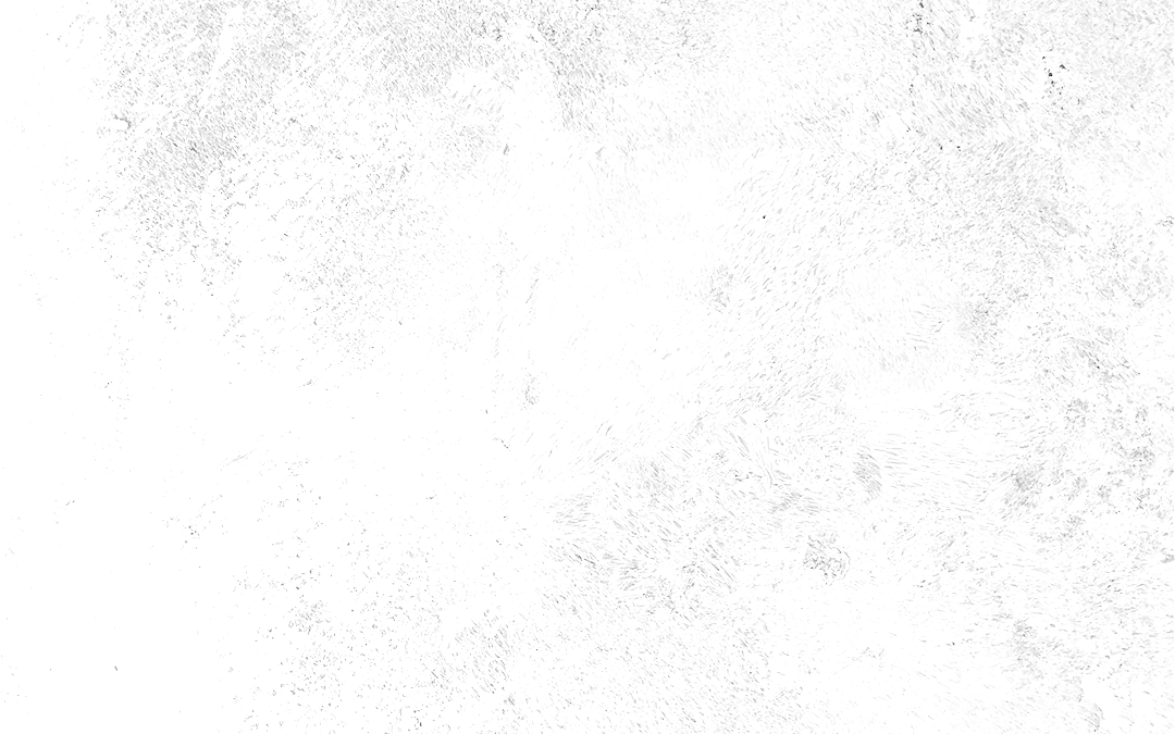 20231103-CATM-blog-Background-desktop-rotated2